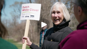 Neighborhood Environmental Education